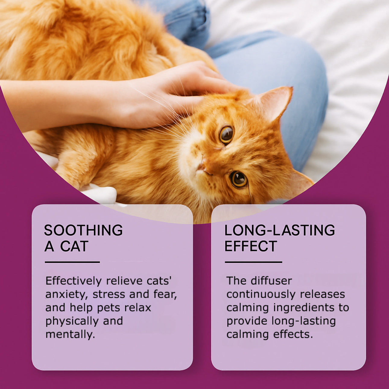 Calming Pheromone Diffuser for Cats