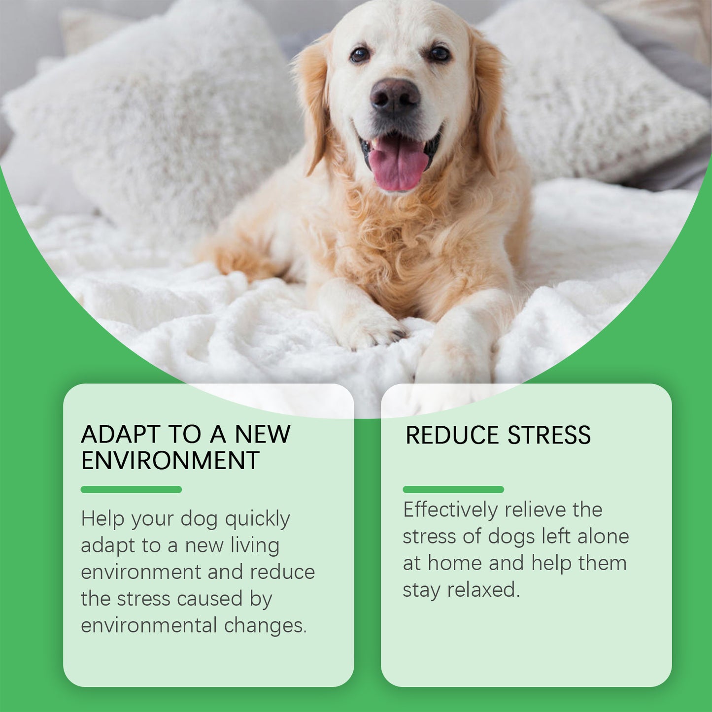 Calming Pheromone Diffuser for Dogs