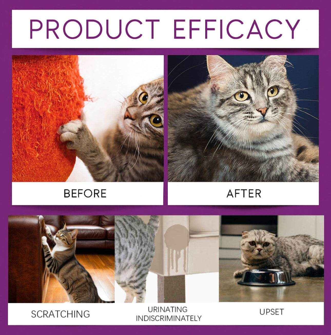 Calming Pheromone Diffuser for Cats